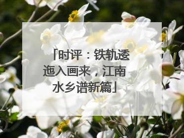 时评：铁轨逶迤入画来，江南水乡谱新篇