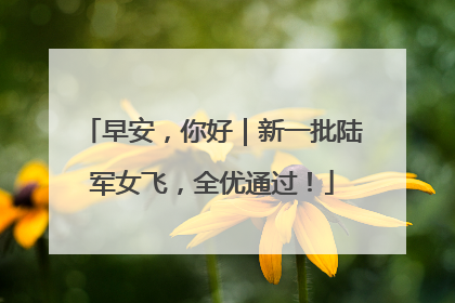早安，你好｜新一批陆军女飞，全优通过！