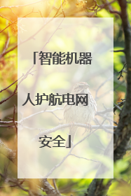 智能机器人护航电网安全