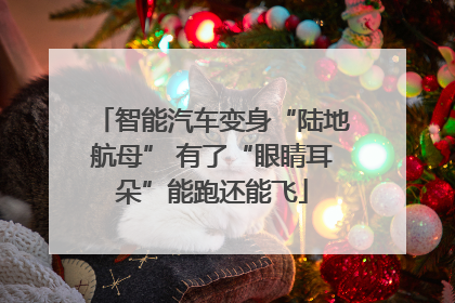 智能汽车变身“陆地航母” 有了“眼睛耳朵”能跑还能飞