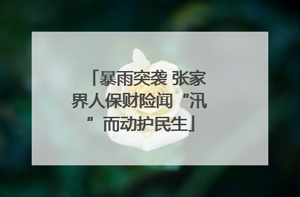 暴雨突袭 张家界人保财险闻“汛”而动护民生
