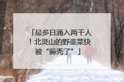 最多日涌入两千人！北灵山的野韭菜快被“薅秃了”