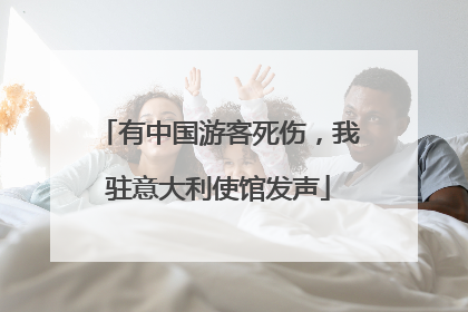 有中国游客死伤，我驻意大利使馆发声