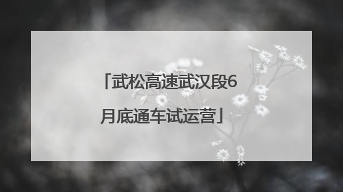 武松高速武汉段6月底通车试运营