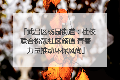 武昌区杨园街道：社校联合扮靓社区颜值 青春力量推动环保风尚