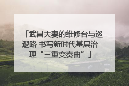 武昌夫妻的维修台与巡逻路 书写新时代基层治理“三重变奏曲”