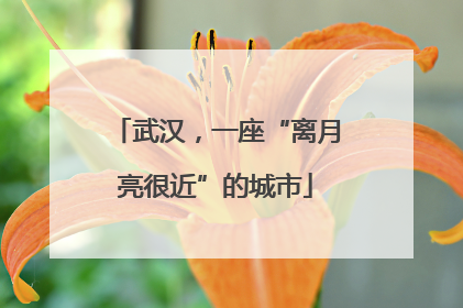 武汉，一座“离月亮很近”的城市
