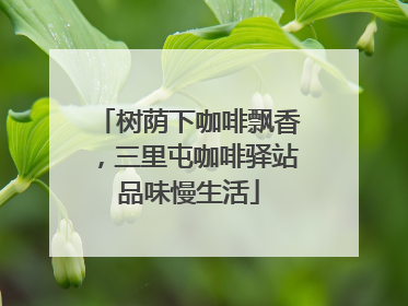 树荫下咖啡飘香，三里屯咖啡驿站品味慢生活