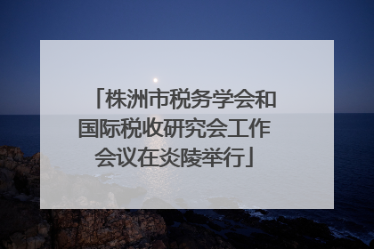株洲市税务学会和国际税收研究会工作会议在炎陵举行