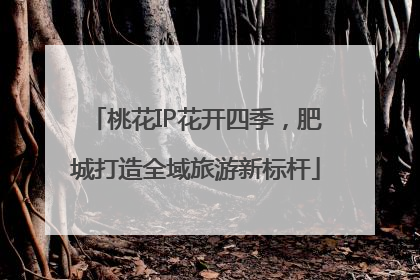 桃花IP花开四季，肥城打造全域旅游新标杆