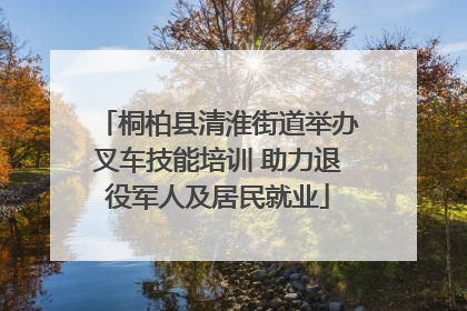 桐柏县清淮街道举办叉车技能培训 助力退役军人及居民就业
