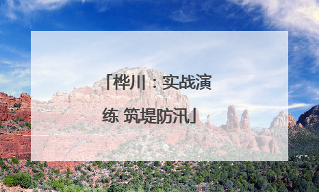 桦川：实战演练 筑堤防汛