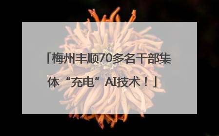 梅州丰顺70多名干部集体“充电”AI技术！
