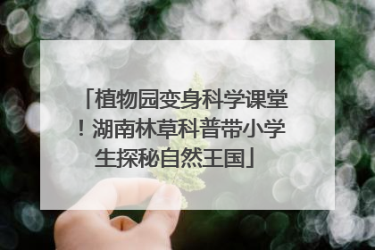 植物园变身科学课堂！湖南林草科普带小学生探秘自然王国