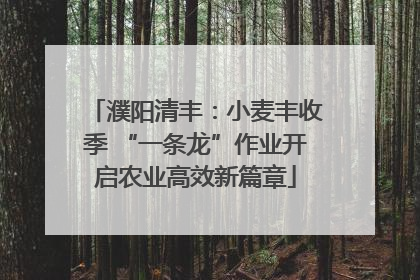 濮阳清丰：小麦丰收季 “一条龙”作业开启农业高效新篇章