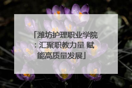 潍坊护理职业学院：汇聚职教力量 赋能高质量发展
