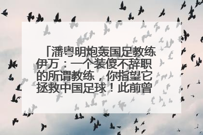 潘粤明炮轰国足教练伊万：一个装傻不辞职的所谓教练，你指望它拯救中国足球！此前曾多次发文评价国足