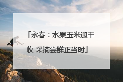 永春：水果玉米迎丰收 采摘尝鲜正当时