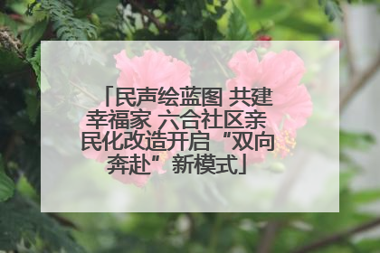 民声绘蓝图 共建幸福家 六合社区亲民化改造开启“双向奔赴”新模式