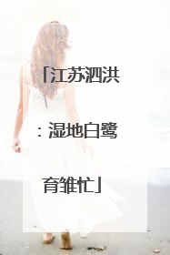 江苏泗洪：湿地白鹭育雏忙