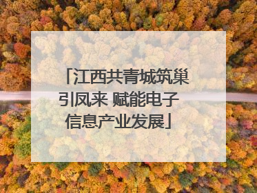 江西共青城筑巢引凤来 赋能电子信息产业发展