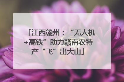 江西赣州：“无人机+高铁”助力赣南农特产“飞”出大山