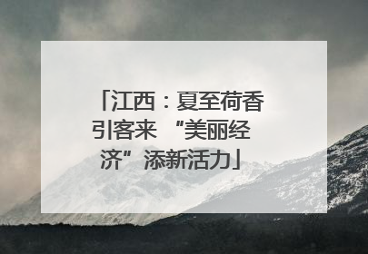 江西：夏至荷香引客来 “美丽经济”添新活力