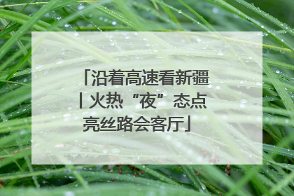 沿着高速看新疆丨火热“夜”态点亮丝路会客厅