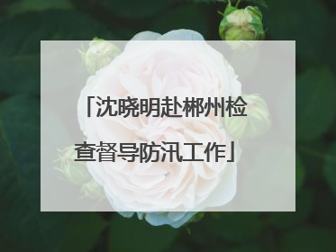 沈晓明赴郴州检查督导防汛工作