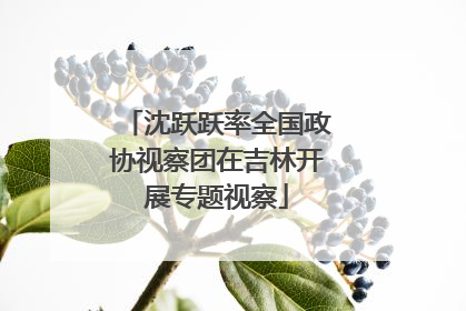 沈跃跃率全国政协视察团在吉林开展专题视察