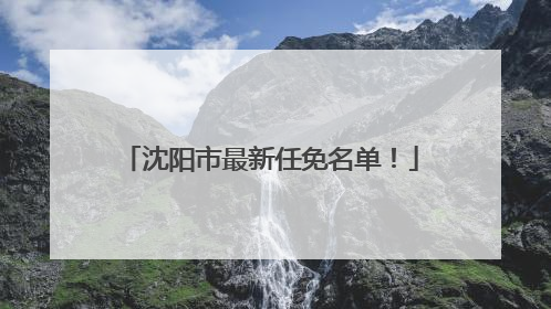 沈阳市最新任免名单！