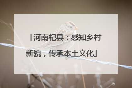 河南杞县：感知乡村新貌，传承本土文化