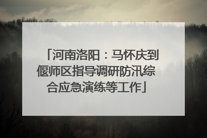 河南洛阳：马怀庆到偃师区指导调研防汛综合应急演练等工作