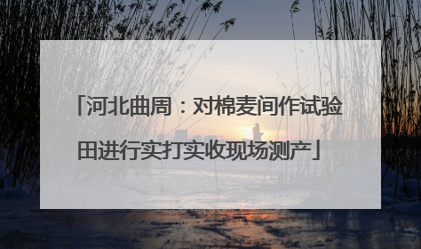 河北曲周：对棉麦间作试验田进行实打实收现场测产