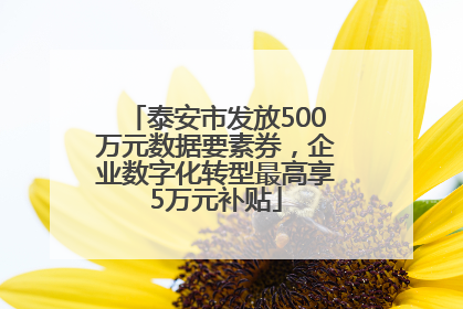 泰安市发放500万元数据要素券，企业数字化转型最高享5万元补贴