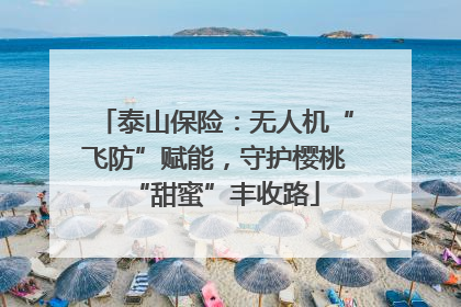 泰山保险：无人机“飞防”赋能，守护樱桃“甜蜜”丰收路