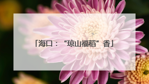 海口：“琼山福稻”香