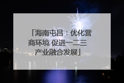 海南屯昌：优化营商环境 促进一二三产业融合发展