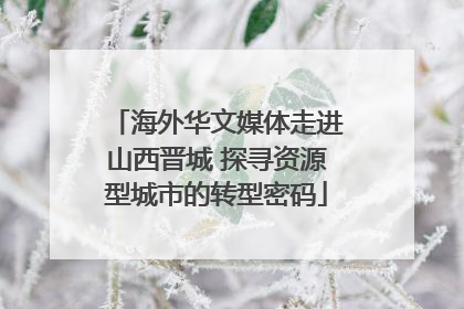 海外华文媒体走进山西晋城 探寻资源型城市的转型密码