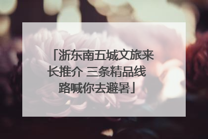 浙东南五城文旅来长推介 三条精品线路喊你去避暑