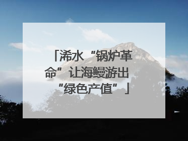 浠水“锅炉革命”让海鳗游出“绿色产值”