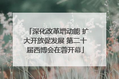 深化改革增动能 扩大开放促发展 第二十届西博会在蓉开幕