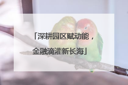 深耕园区赋动能，金融滴灌新长海
