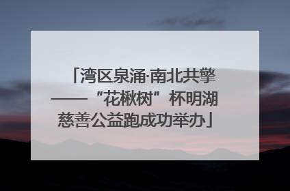 湾区泉涌·南北共擎——“花楸树”杯明湖慈善公益跑成功举办