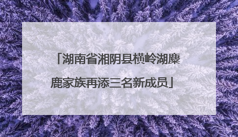 湖南省湘阴县横岭湖麋鹿家族再添三名新成员