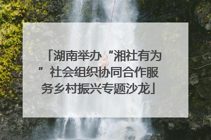 湖南举办“湘社有为”社会组织协同合作服务乡村振兴专题沙龙