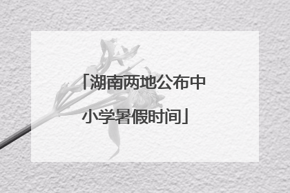 湖南两地公布中小学暑假时间