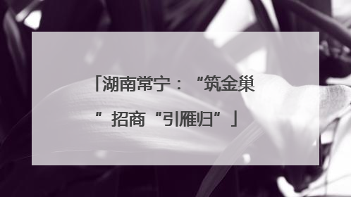 湖南常宁：“筑金巢”招商“引雁归”