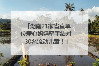 湖南21家省直单位爱心妈妈牵手结对30名流动儿童！