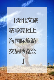 湖北文旅精彩亮相上海国际旅游交易博览会